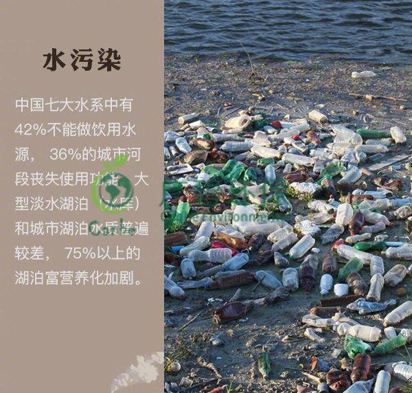 世界地球日 我們能為地球做些什么？(圖2)