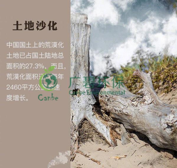 世界地球日 我們能為地球做些什么？(圖4)