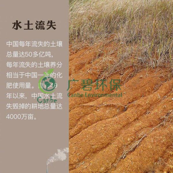 世界地球日 我們能為地球做些什么？(圖7)