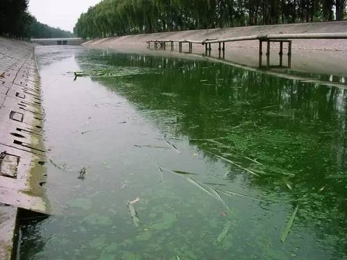 城市黑臭河道如何治理？河道黑臭水體治理思路(圖1)