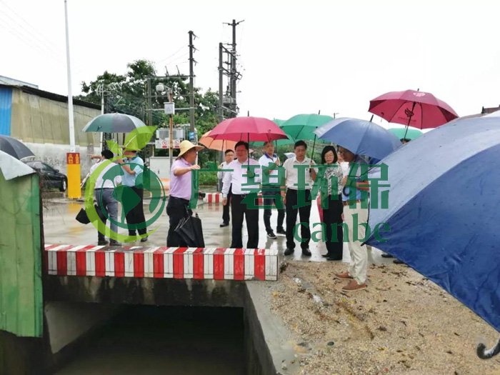 佛山推進(jìn)水污染防治問題整改，虛假整改將被問責(zé)！(圖2)