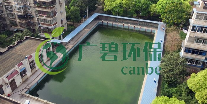 游泳池水變綠是什么原因？游泳池水處理方法(圖1)