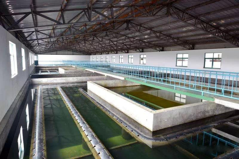 什么是制糖廢水？制糖廢水處理技術(shù)