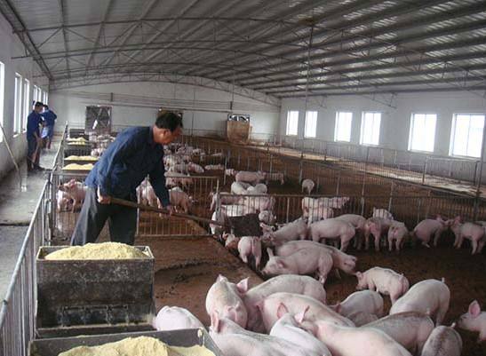 什么是養(yǎng)殖廢水？養(yǎng)殖廢水處理工藝