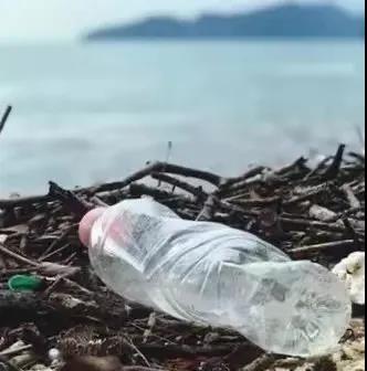 世界地球日|珍愛地球，人與自然和諧共生(圖8)